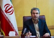 سقف تسهیلات پرداختی به هنرمندان صنایع دستی 400 میلیون تومان است