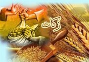 طرح سفیران زکات در زنجان به اجرا درمی‌آید