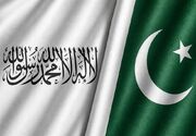 طالبان: افغانستان سلطه هیچ کشوری را نمی‌پذیرد