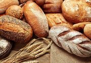 تولید نان کامل را هدف‌گذاری کردیم