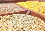 ترخیص و ورود 4.7 میلیون تن نهاده دامی از مبادی مازندران