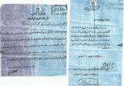 «مادر سند» چیست و چگونه می‌توان آن را پیدا کرد؟