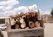 برخورد قانونی با هرگونه قاچاق چوب در مازندران