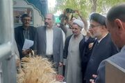 «شهر وقف» در مشهد چه می‌گوید؟ از گنجینه وقف‌نامه‌ها تا اشتغال