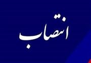 ساختار مدیریتی بانک ایران‌ زمین با انتصاب مدیران و رؤسای جدید تقویت شد