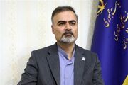 رئیس مرکز طب ایرانی: باور به بی‌ضرر بودن گیاهان دارویی اشتباه است