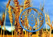 افزایش 2 درصدی قیمت جهانی مواد غذایی در سایه جنگ علیه ایران