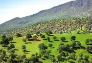 فعالیت تنها یک نیروی ترویج منابع طبیعی برای 90 هزار هکتار اراضی بروجرد