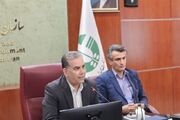 هشدار محیط زیست درباره پیامدهای ادامه روند کنونی جنگل‌های هیرکانی