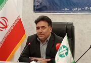 جنگل‌های هیرکانی به طرح احیا نیاز دارند نه بهره‌برداری چوب!