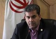 ظهرابی: برای اجرای طرح مدیریت جنگل‌های هیرکانی عجله نکنیم