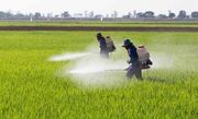 300 لیتر سم غیرمجاز و قاچاق در فارس ضبط شد