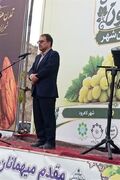 برگزاری جشنواره ملی انگور در مشگین‌شهر