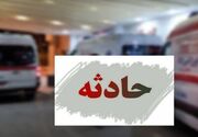 برخورد پژو با گله گوسفند در جنوب استان بوشهر