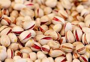 طلای سبز فارس در مسیر بازارهای جهانی/ 80 درصد پسته استان صادر می‌شود
