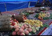 ظرفیت‌های کشاورزی اسدآباد چشم‌انتظار سرمایه‌گذاری و توسعه