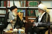 آیت‌الله نوری همدانی درگذشت آیت‌الله شبیری زنجانی را تسلیت گفت