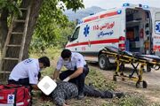 76 مصدوم و 2 فوتی در حوادث سقوط از درخت گردو در همدان