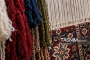 ابریشم گیلان؛ از توتستان تا کارخانه، چرا زنجیره ارزش کامل نمی‌شود؟
