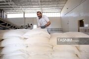 نانوایی‌های مازندران وارد فاز جدید شدند؛ تولید چند نوع نان در مجتمع‌ها