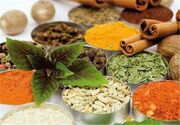 خراسان رضوی؛ قطب تولید گیاهان دارویی و پیشتاز در بهره‌گیری اقلیمی