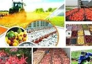 چرا سرمایه‌گذاران از شهرک صنعتی خدابنده فاصله می‌گیرند؟