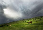 یادداشت| چرا گردشگران در گلستان ایران نمی‌مانند؟