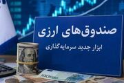 جذب ارزهای راکد مردمی در صندوق‌های ارزی برای 5 سالِ کشور کافی است