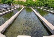 طلای سیاه در دل پهناور فارس روی پاشنه بهره‌وری می‌چرخد