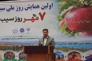 ترکیه مشتری تازه سیب ایران؛ صادرات 65 برابر شد
