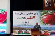 گرانی حمل‌ونقل و تعهدات ارزی؛ دو مانع صادرات سیب آذربایجان‌غربی