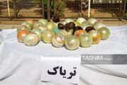 کشف 376 کیلوگرم مواد مخدر در 6 ماهه امسال در طبس