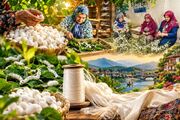 پیله تا توسعه؛ نوغانداری چگونه می‌تواند دوباره اقتصاد روستا را بسازد؟