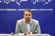 نمی‌شود از جهش تولید گفت و نرخ ارز را رها کرد