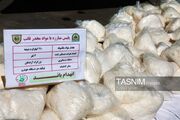 کشف محموله 4 کیلویی مواد روان‌گردان در فرودگاه بین‌المللی تبریز
