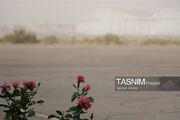 35 کانون گرد و غبار خراسان جنوبی را محاصره کرده‌اند؛زنگ خطر برای طبیعت
