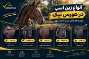 صفر تا 100 خرید لوازم اسب با هورس تیک؛راهنمای انتخاب تجهیزات ضروری اسب