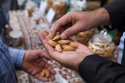 سومین جشنواره ملی بادام در شهر بن برگزار شد + تصاویر