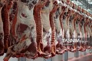 تولید 4500 تن گوشت قرمز و مرغ در نیمه نخست امسال در کهگیلویه