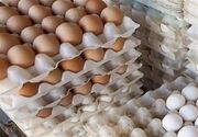 کسری تولید تخم‌مرغ در لرستان؛ 3 واحد برای جبران فاصله عرضه و تقاضا