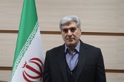 پسته ایلخچی؛ ظرفیتی برای برندسازی و توسعه صادرات کشاورزی