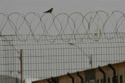 افشاگری هاآرتص درباره شکنجه‌گاه‌های مخوف اسرائیل