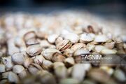 پسته آذربایجان شرقی در مسیر صادرات؛ تسهیل صادرات به اروپا