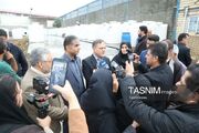 فرآوری کامل تنها 12 درصد از زیتون تولیدی طارم