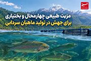 مزیت طبیعی چهارمحال و بختیاری برای جهش در تولید ماهیان سردابی