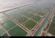 شیلات قشم در مسیر سرمایه‌گذاری‌های بزرگ‌مقیاس