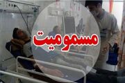 ثبت 1775 بیمار مسموم در جهرم/ عقرب و الکل در صدر آمار