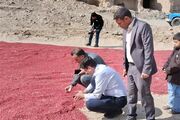 از افین تا کوچه صفا؛ نقشه خراسان جنوبی برای رونق گردشگری و اقتصاد محلی