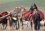آغاز کوچ پاییزه عشایر خراسان رضوی به مناطق قشلاقی