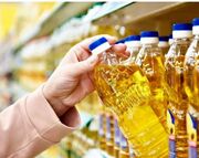 «روغن» در صدر افزایش قیمت دی ماه